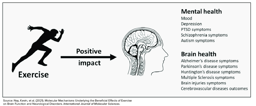 Impact-of-exercise-on-mental-and-brain-health-1