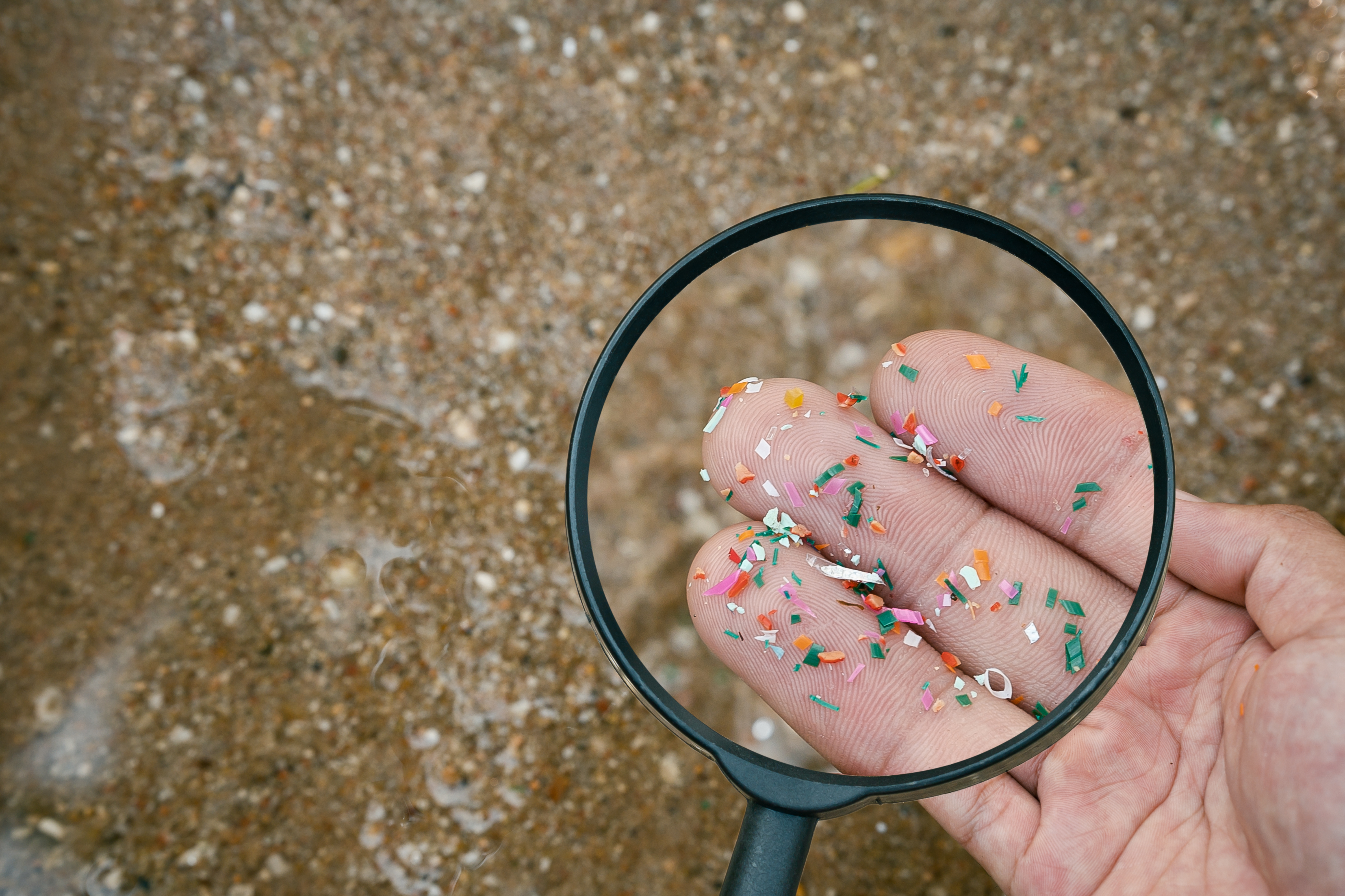 The Connection Between Microplastics & Heart Attacks